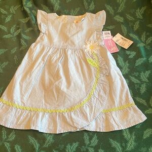 NWT Gymboree Seersucker dress